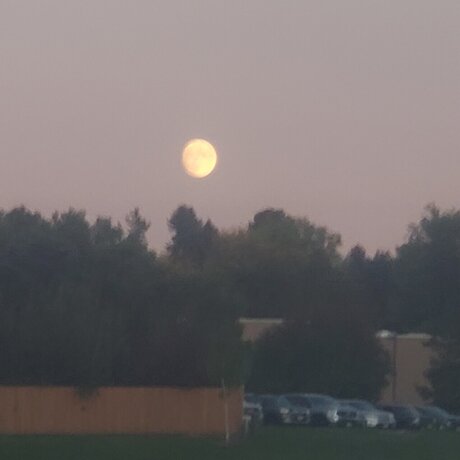 Firebraker best pornstar picture