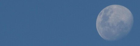 m4nu sexy star archive