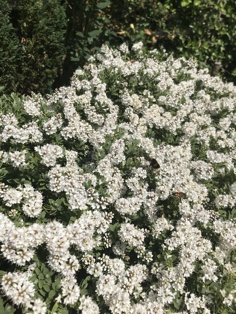 Zukumei erotic model photo