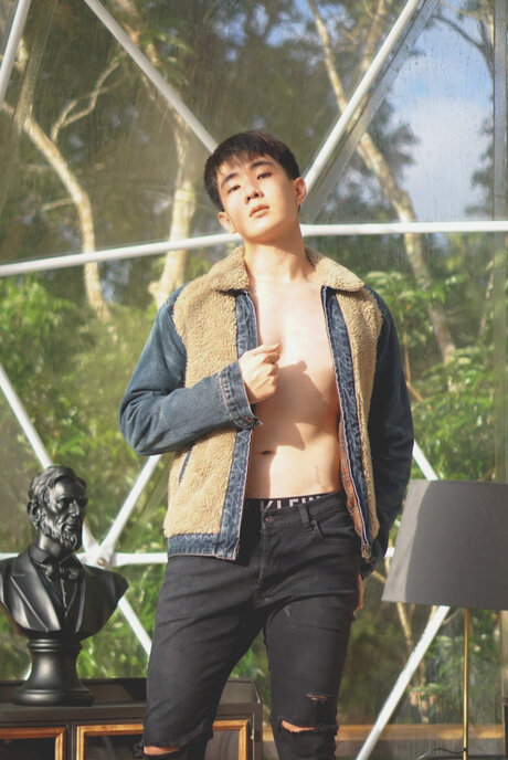 K busbear star free photo