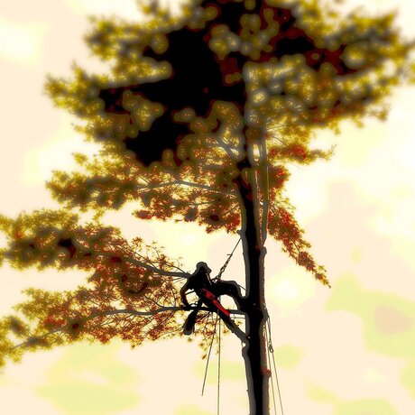 Sayitaintso exclusive actress pics