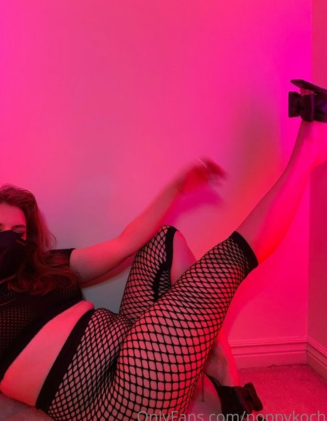 poppykoch best pornstar img