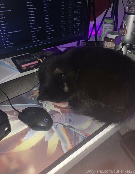 cutiekatw free pornstar archive