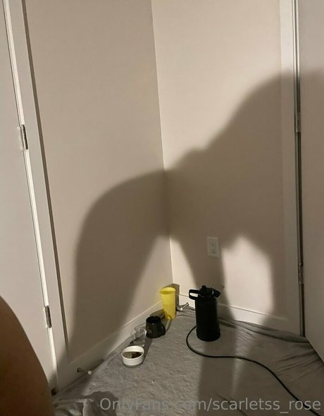 scarletss rose hot star archive