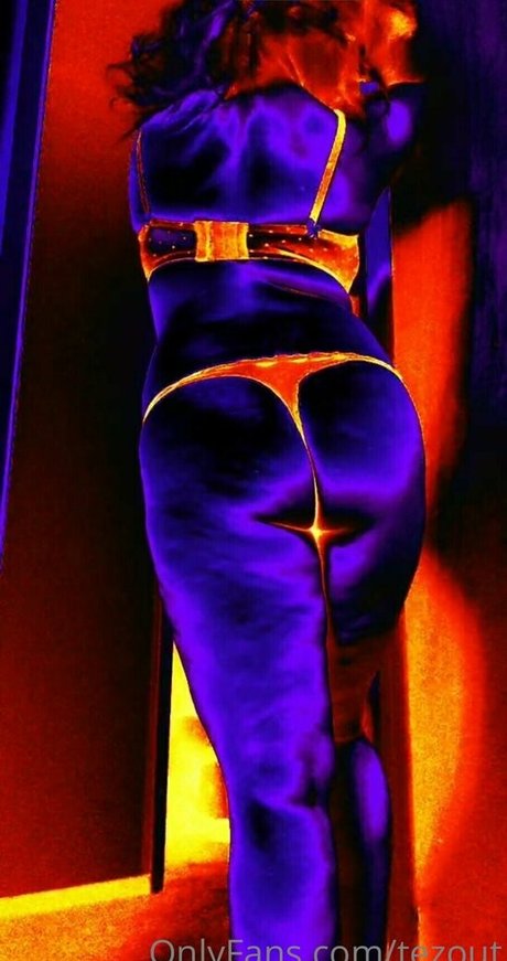 tezout art star galleries