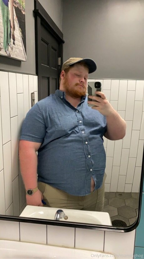 roaminghog pornographic actress image