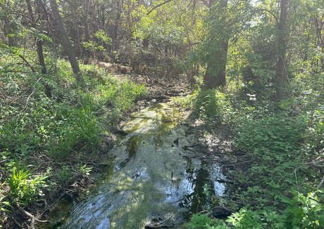 babyven0m star art archive