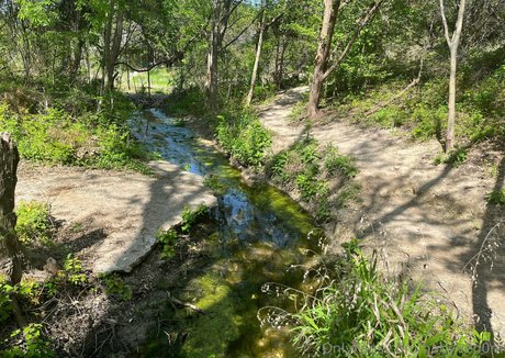 babyven0m exclusive model galleries