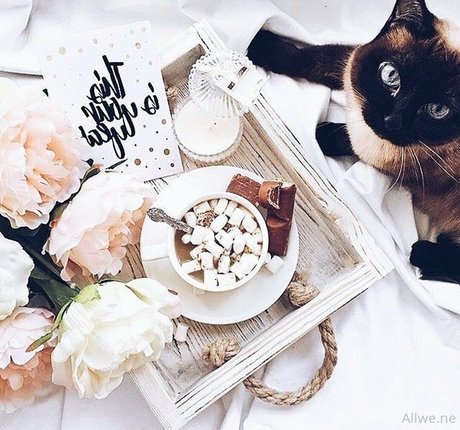 allwene free art model photo