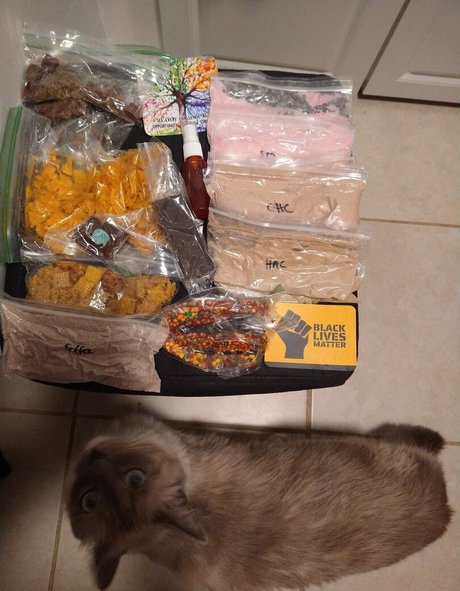 flowerpower87 best pornstar gallery