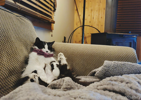 savingmyinsanity star high quality pic