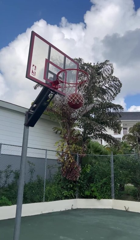 Sian Gabbidon top star image