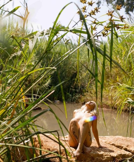 Yuval Gold star porn image