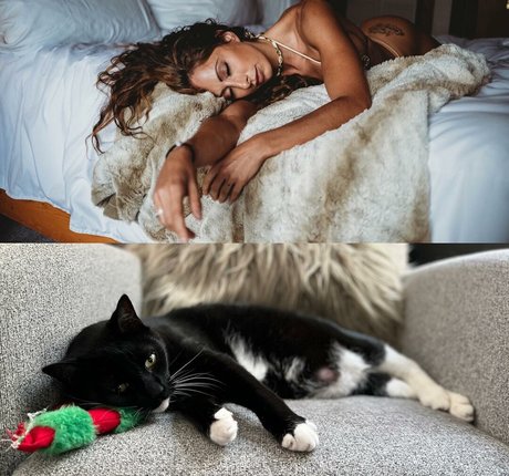 Casey Samsel pornstar adult picture