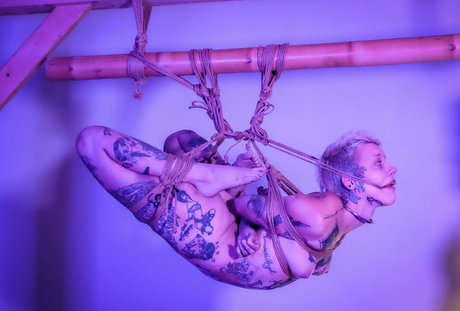 Little Spittle pornstar erotic pic