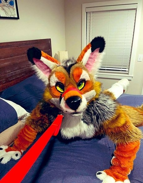 anejo xxx kaii model pornographic galleries