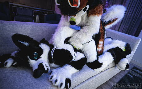 anejo xxx kaii pretty pornstar pics