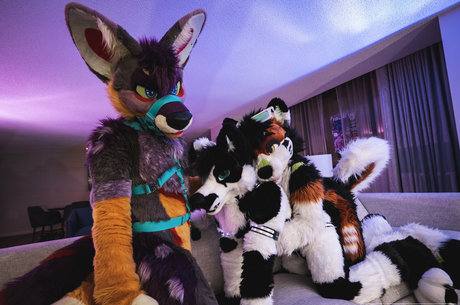 anejo xxx kaii pornstar nice picture