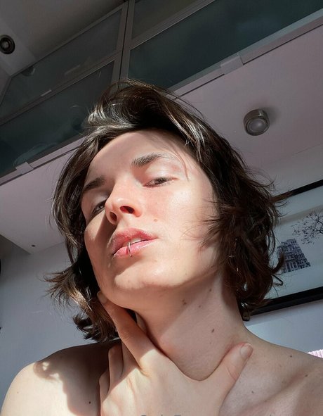 ashamok exclusive pornstar galleries