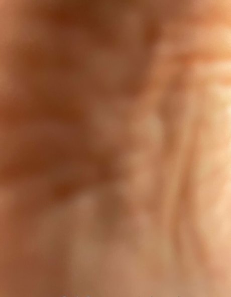 miss piggytoes pornstar free photos