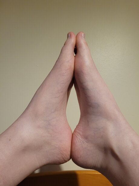 Ambella star pictures