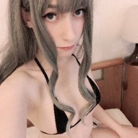 PoisonedMeatball hd model archive