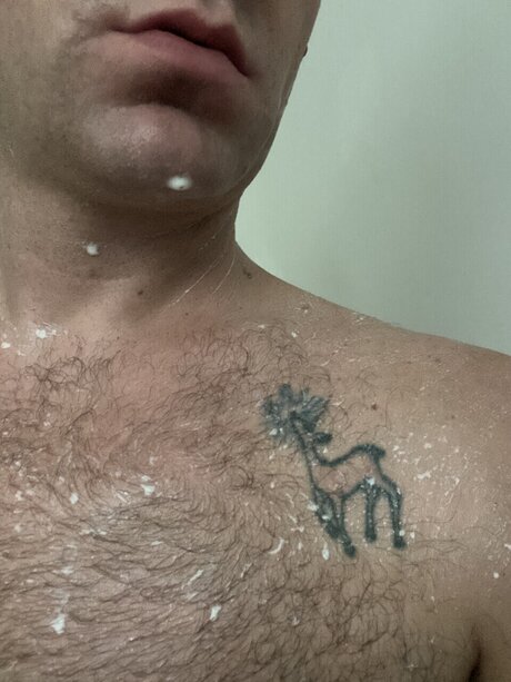 Benji adult model image