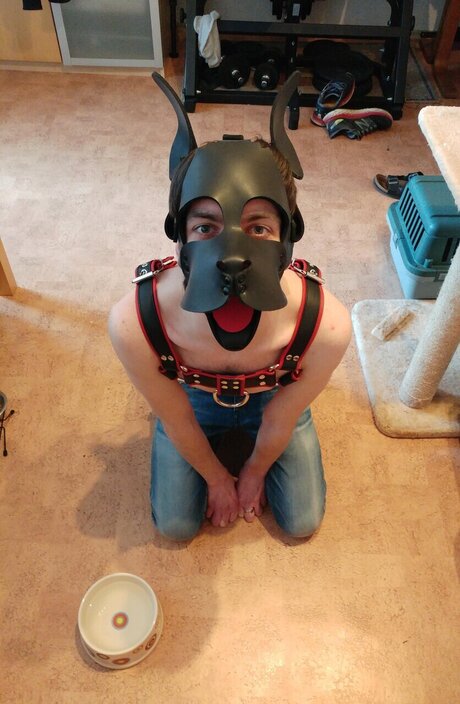 PupDexi top model photo