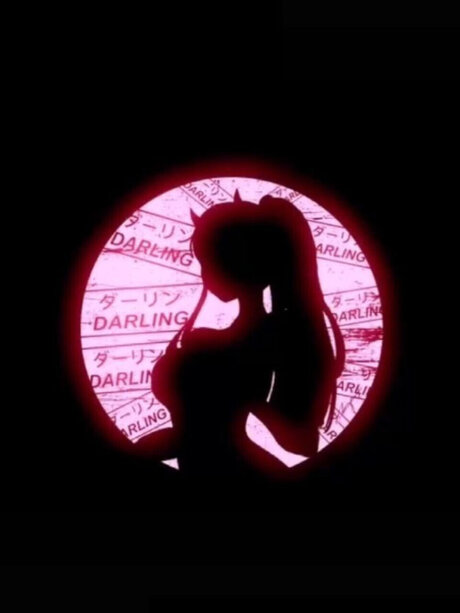 you re favorite kitty star nice image