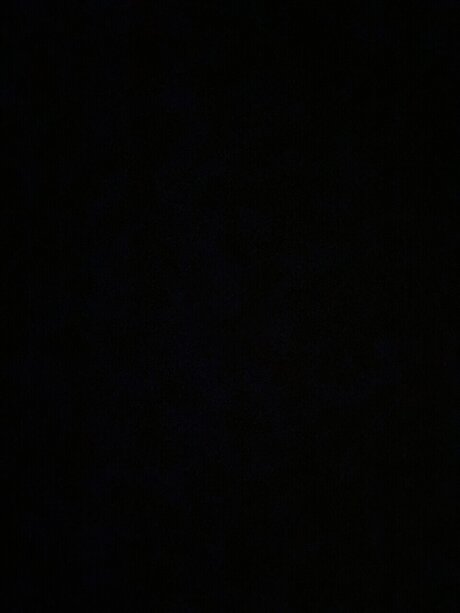 realblondie pornstar beautiful picture