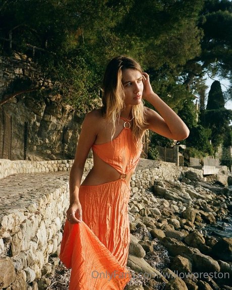 Willow Preston star adult image