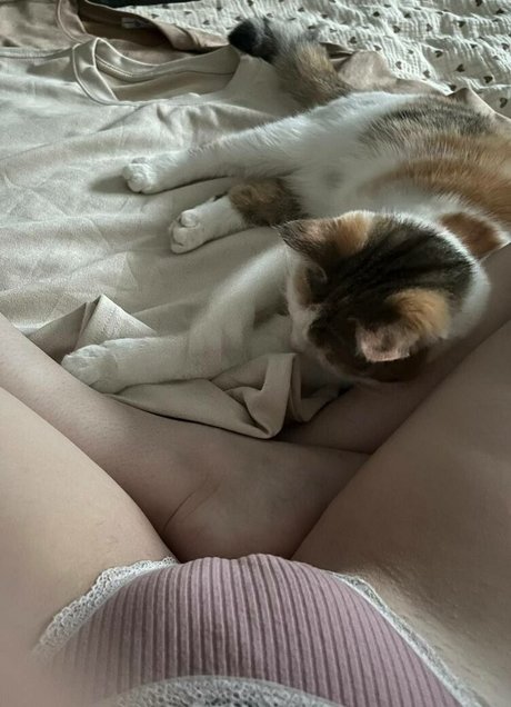 Aorta star exclusive image