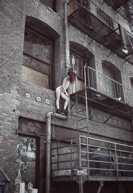 Cam Damage free star picture