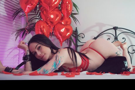 Catziilla star high quality gallery