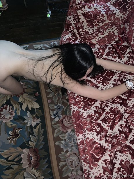 sealidgarden star perfect pics