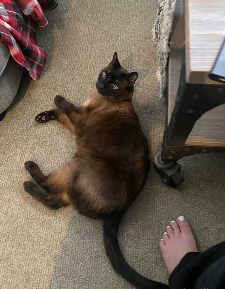 fitness ass onlyfans free naked galleries