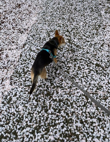 milf pantyhose onlyfans sexy xxx image