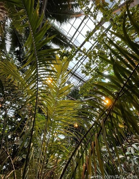 asian military onlyfans beautiful porn gallery