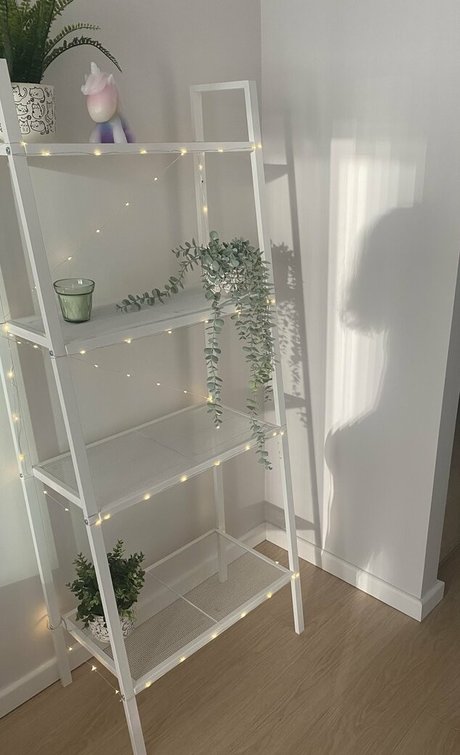 tranny onlyfans free porn photos