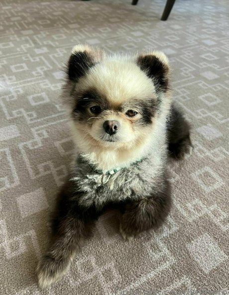 khloete pretty star pics