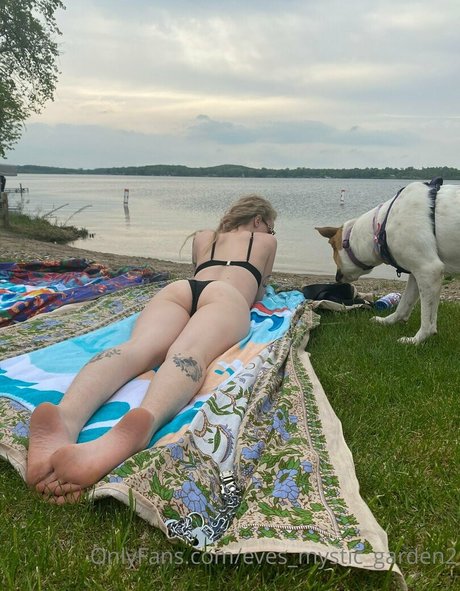 eves mystic garden2 hot star archive