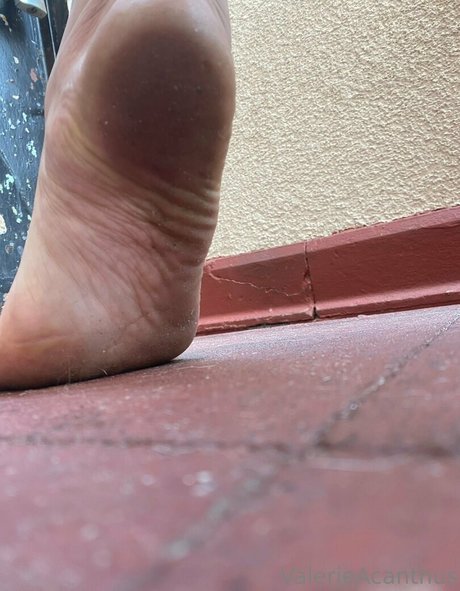 val acanthus erotic model galleries