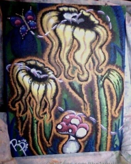 the1rmdbndt hd pornstar images