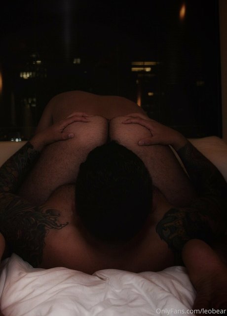 leobear pornstar hot archive