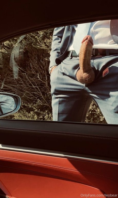 leobear star nice photo