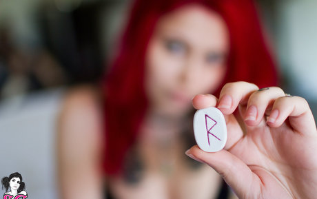 Felynx best model img