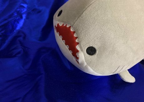 baby buns pornstar pic