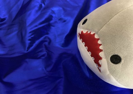 baby buns pornstar top img