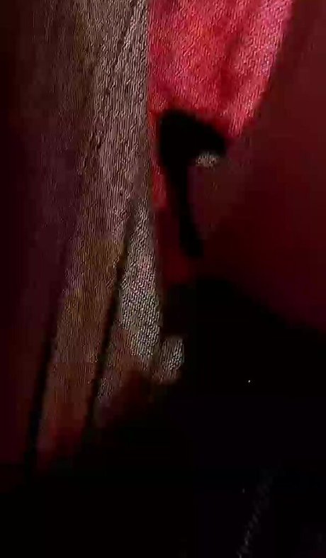 Bihter Tendu model top images