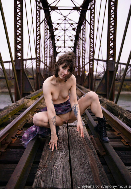 anony mousie beautiful star archive